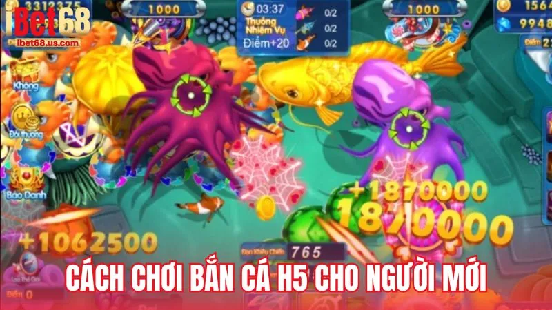 Cách chơi bắn cá H5 iBet68 cho người mới bắt đầu