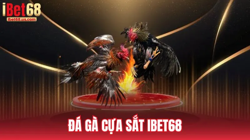 Đá gà cựa sắt