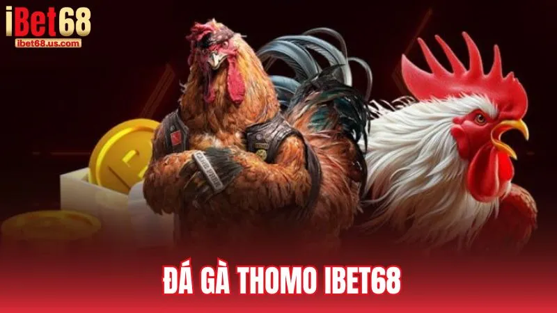 Đá gà Thomo