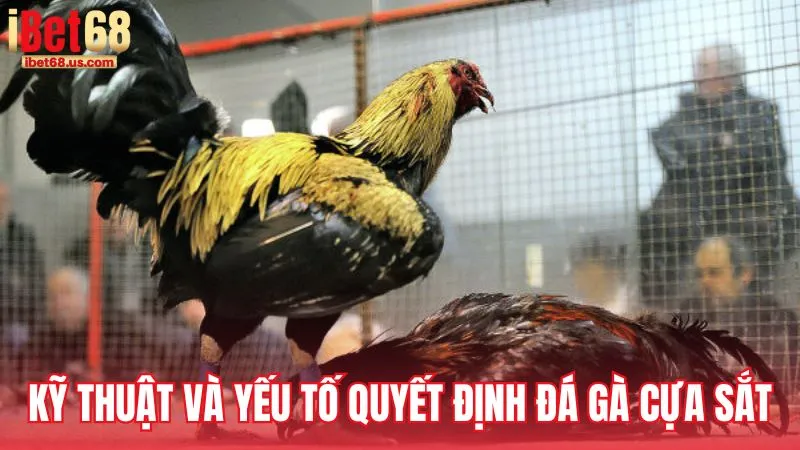 Kỹ thuật và yếu tố quyết định trong đá gà cựa sắt